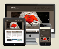 free-html5-responsive-template